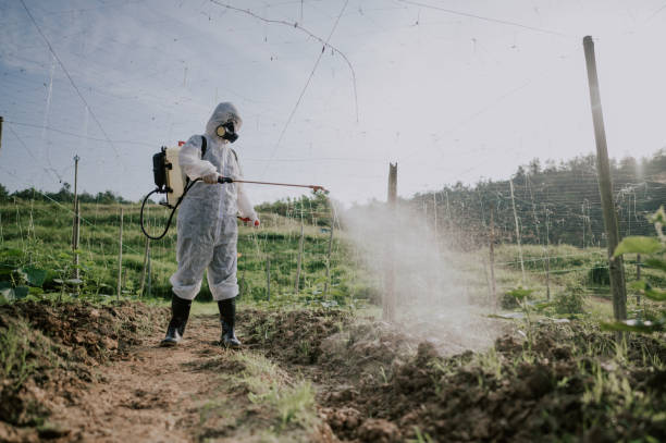 Best Mosquito Control Services  in Montrose, PA