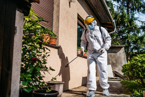 Best Best Pest Control Companies  in Montrose, PA
