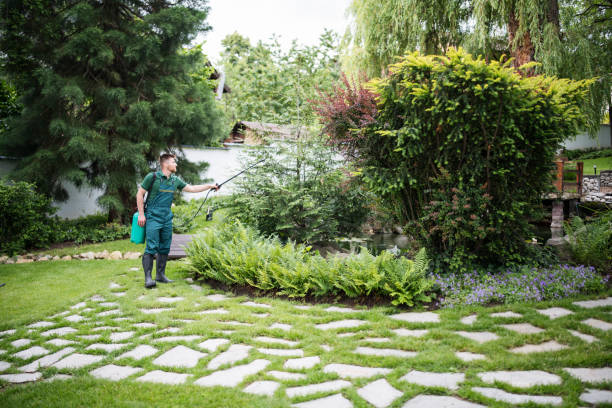 Wasp Removal Services in Montrose, PA