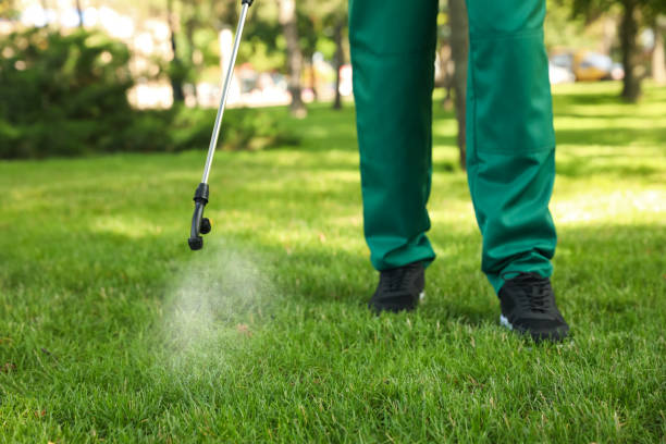 Best Pest Control for Homes  in Montrose, PA