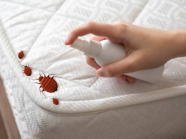 Montrose, PA Pest Control Company