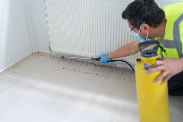Best Flea Control Services  in Montrose, PA
