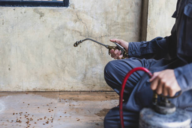 Best Pest Prevention Services  in Montrose, PA